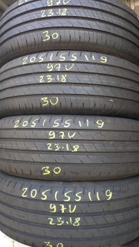 Good-Year EfficientGrip Performance 2 97V(23.18) 205/55 R19