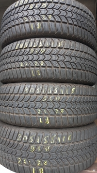 Dunlop Winter Trail 91H(21.28) 205/55 R16