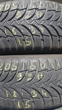 Nexen Winguard Snow G WH2 92H(18.34) 205/60 R16