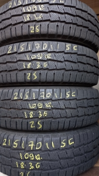 Michelin Agilis Alpin 109R(18.36) 215/70 R15C