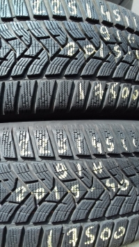 Dunlop Winter Sport 5 91H(2015.40) 225/45 R17