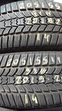 Sava Eskimo HP2 91H(2019.26) 205/55 R16