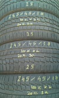 Nokian WR G2 100V XL(2011.30) 245/45 R18