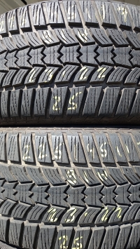 Sava Eskimo HP2 91H(23.22) 225/45 R17