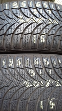 Nexen Winguard Snow G WH2 91T(2018.24) 195/65 R15