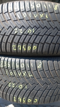 Pirelli All Season SF2 101V X(22.21) 235/50 R18